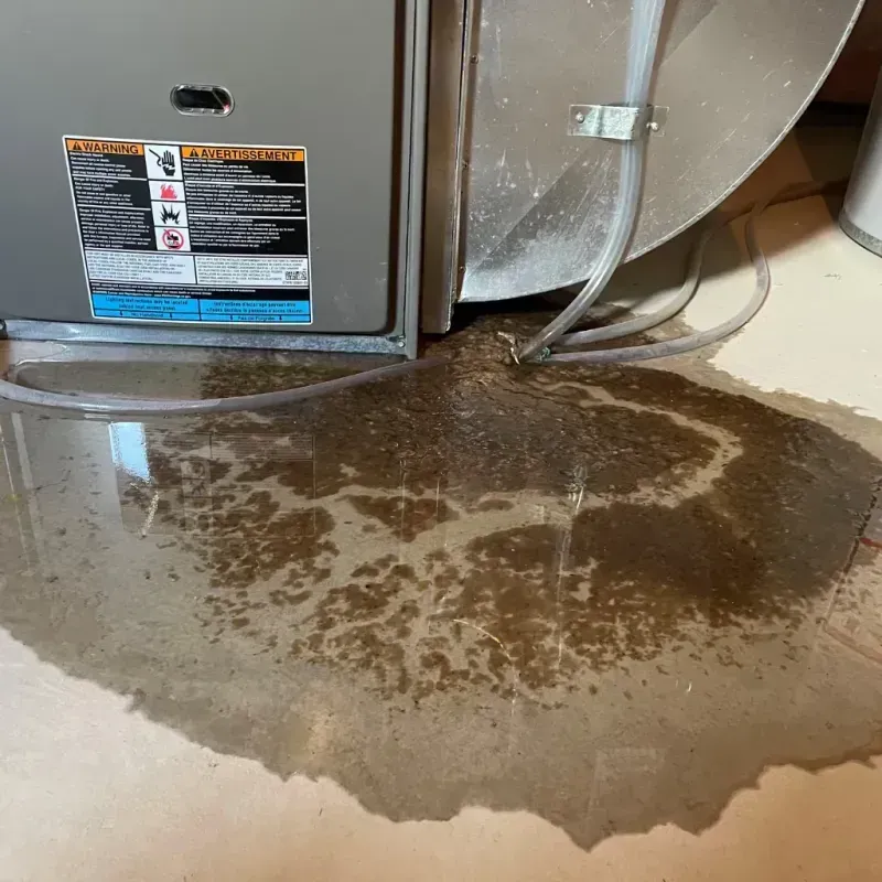 Appliance Leak Cleanup in Columbia County, WA